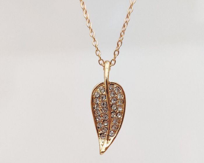 Pendant on a chain