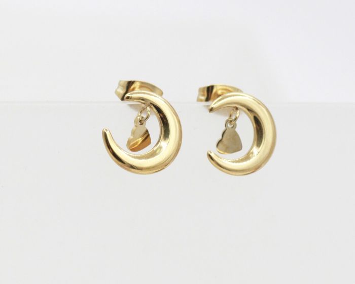 Steel earrings