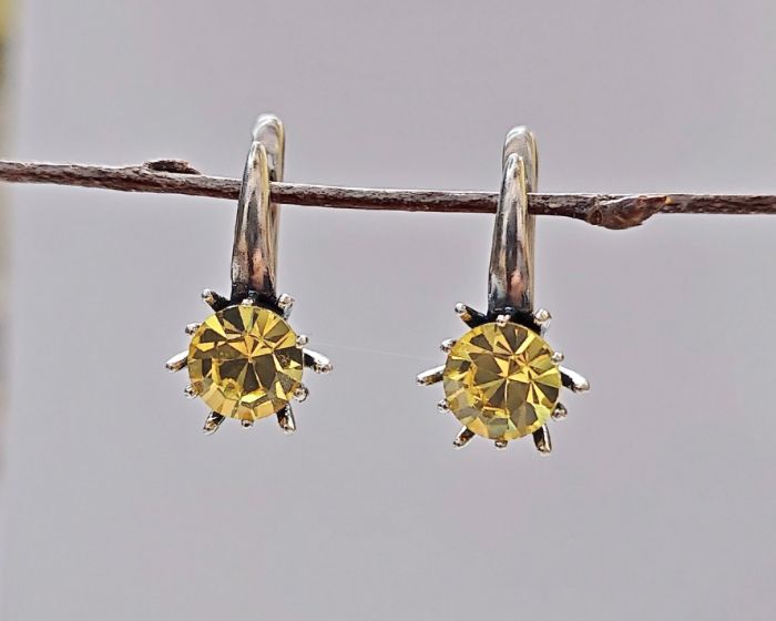 Earrings "Astra"